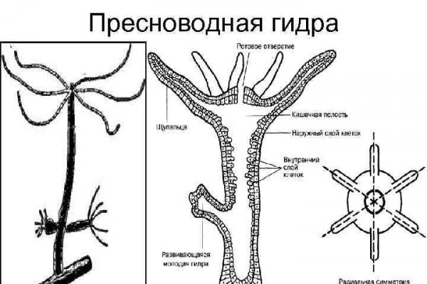 Кракен что можно купить