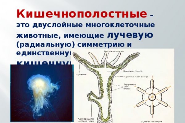 Кракен сайт 1kraken me официальный